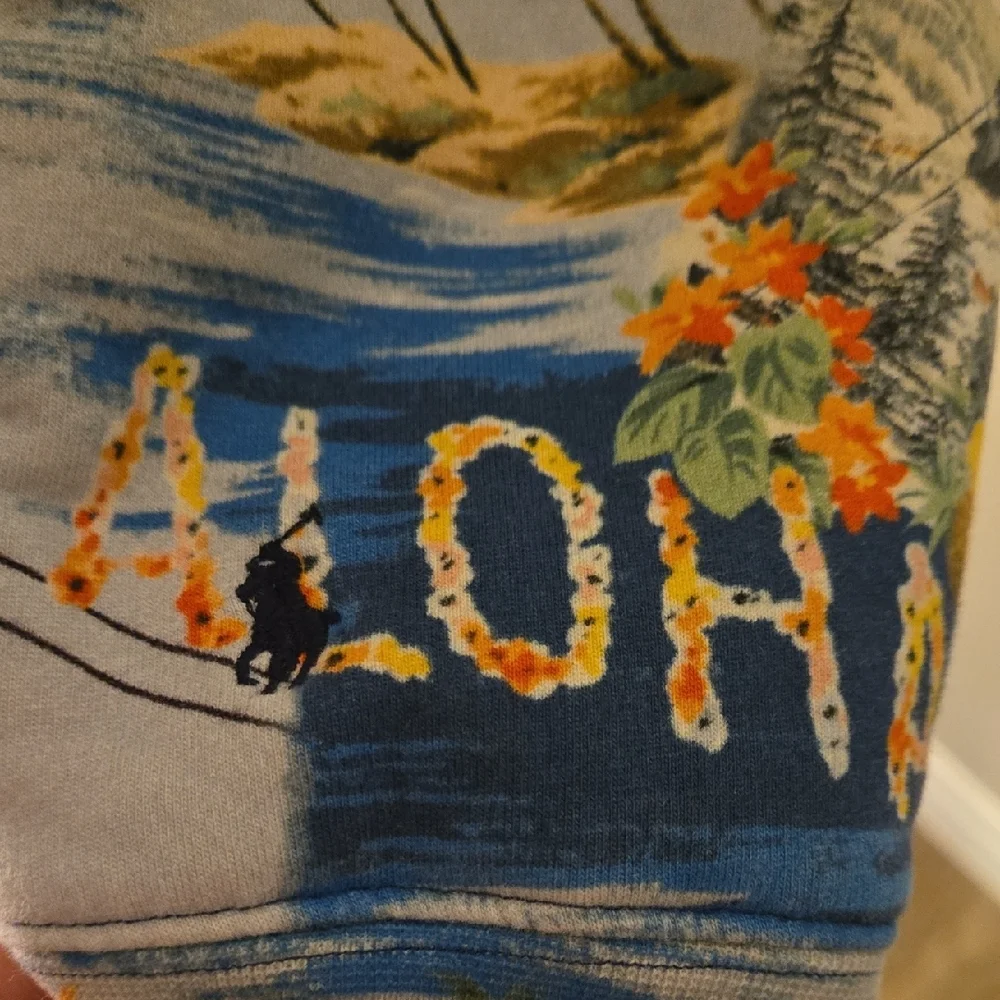 Polo Ralph Lauren Ski Hawaii Fleece Lined Hoodie Youth XL - Picture 2 of 8